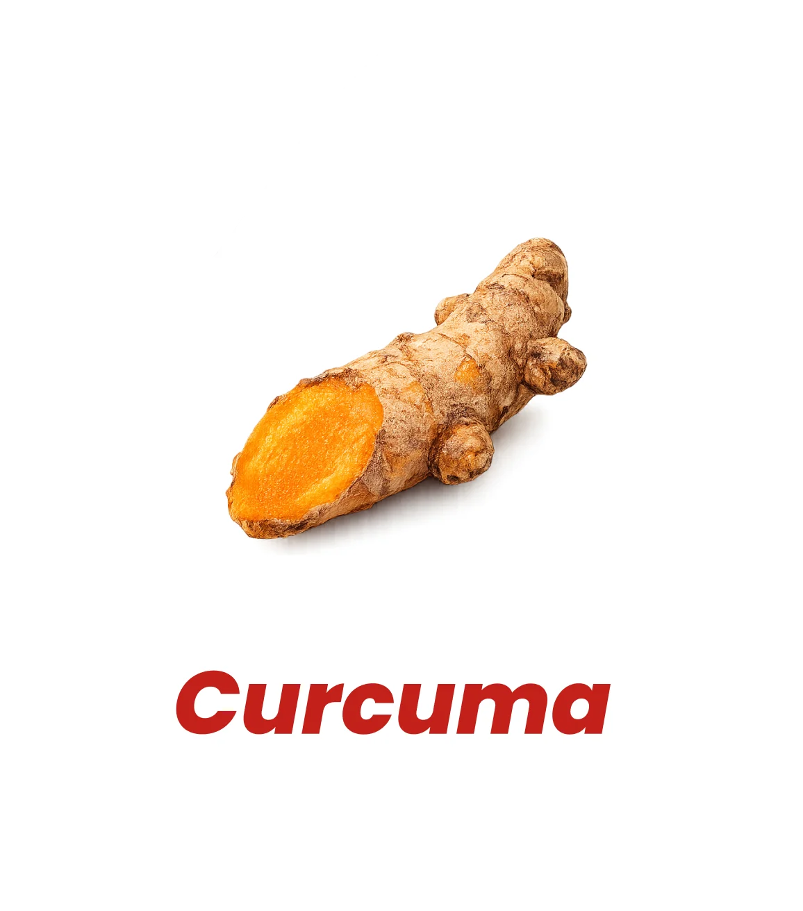 Curcuma