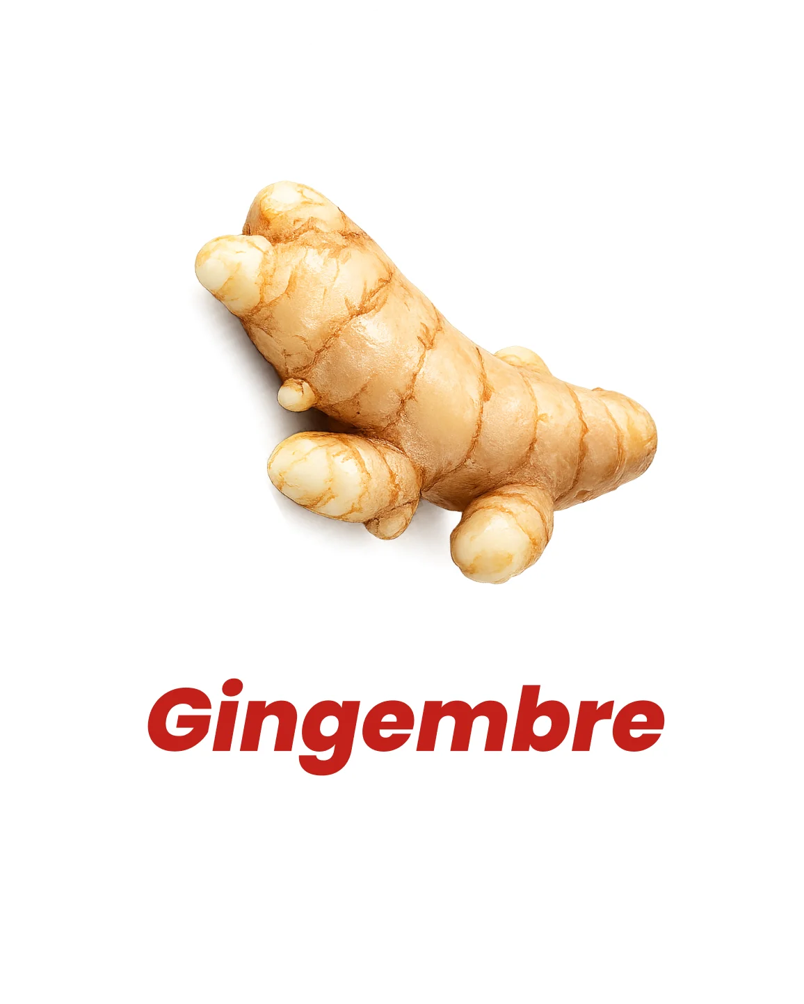 Gingembre