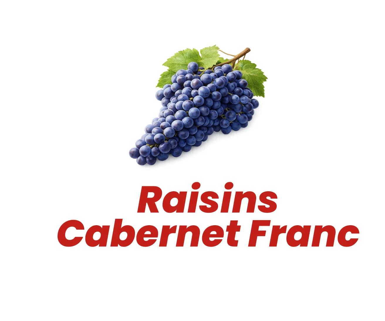 Raisins Cabernet Franc